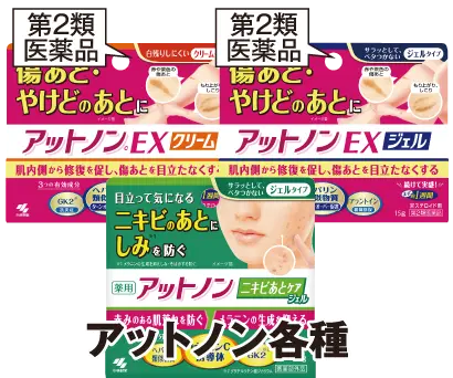 アットノン各種